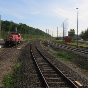 IMG_7245.JPG