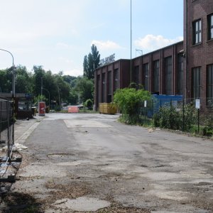 IMG_7385.JPG