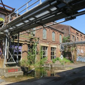 IMG_7768.JPG