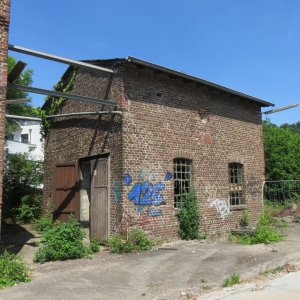 IMG_7559.JPG