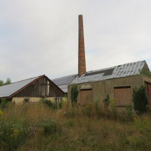IMG_2971.JPG