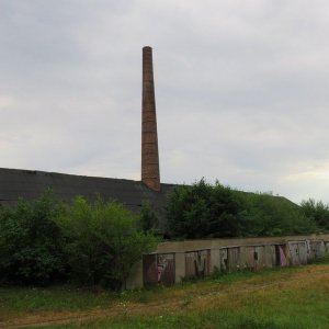 IMG_3953.JPG
