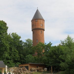 IMG_4473.JPG