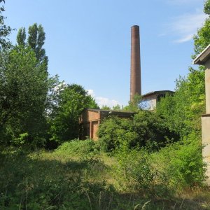 IMG_3758.JPG