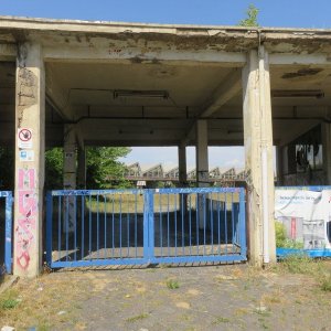 IMG_3745.JPG