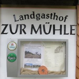 IMG_4626.JPG