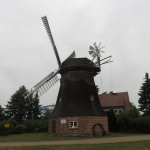 IMG_4623.JPG
