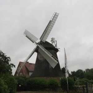 IMG_4627.JPG