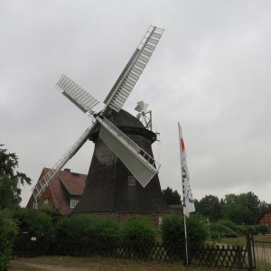 IMG_4595.JPG