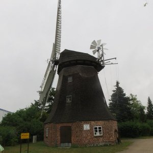 IMG_4624.JPG