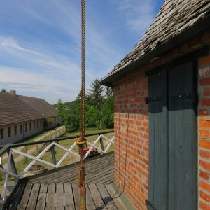 IMG_4347.JPG