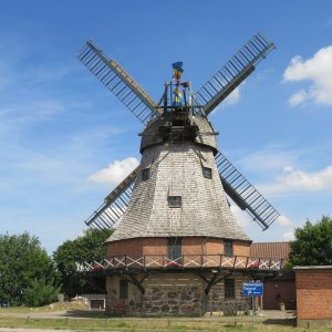 IMG_4357.JPG