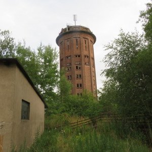 IMG_2885.JPG