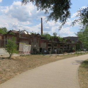 IMG_3778.JPG