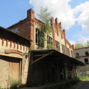 IMG_3780.JPG