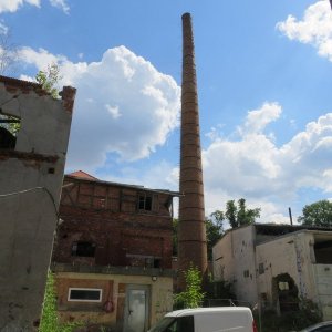 IMG_3782.JPG