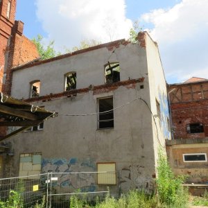 IMG_3784.JPG