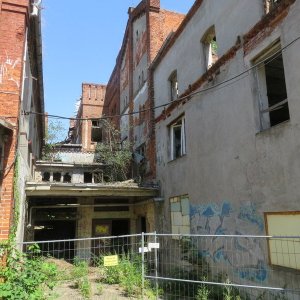 IMG_3785.JPG