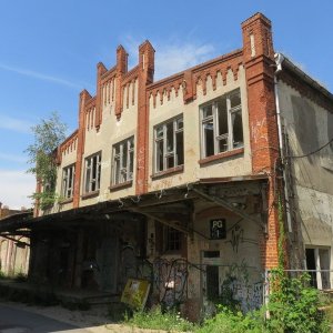 IMG_3787.JPG