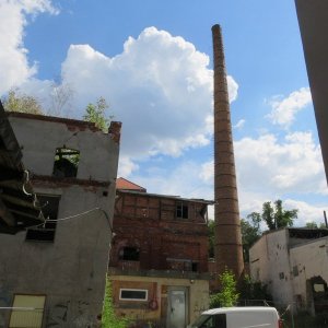 IMG_3790.JPG