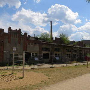 IMG_3793.JPG