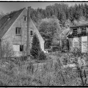 IMG_5408_Fotor.jpg