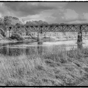 IMG_5429_Fotor.jpg