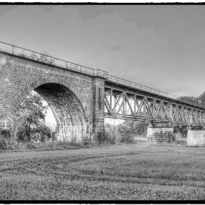 IMG_5446_Fotor.jpg
