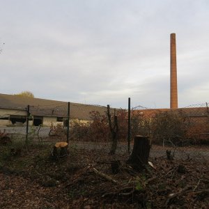 IMG_1027.JPG