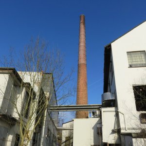 IMG_6125.JPG