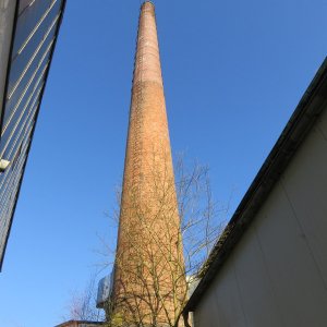 IMG_6132.JPG