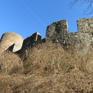 IMG_6387.JPG