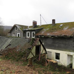 IMG_6803.JPG