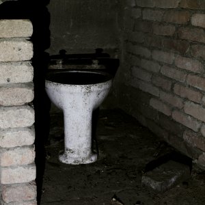 IMG_3520.JPG