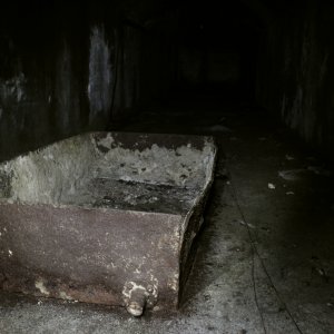 IMG_3525.JPG