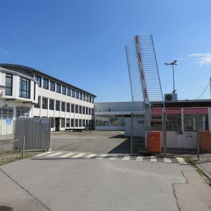 IMG_9887.JPG