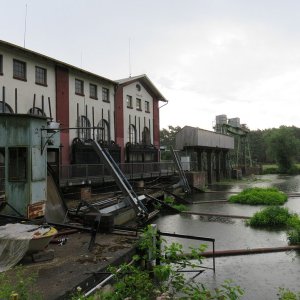 IMG_6951.JPG