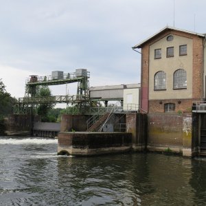 IMG_7077.JPG