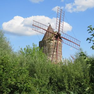 IMG_6895.JPG
