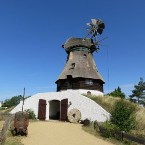 IMG_6552.JPG