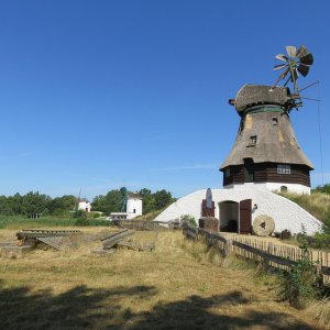 IMG_6557.JPG