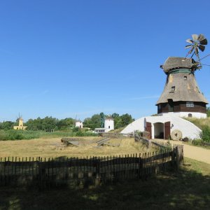 IMG_6559.JPG
