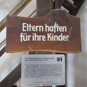 IMG_6536.JPG