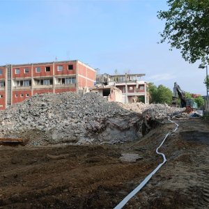 IMG_20230722_085924.jpg