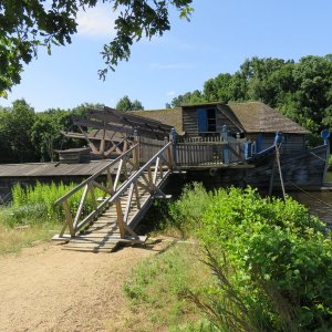 IMG_6656.JPG