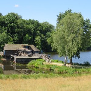 IMG_6667.JPG