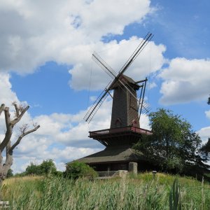 IMG_6791.JPG