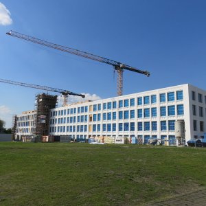 IMG_1887.JPG