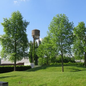 IMG_1900.JPG
