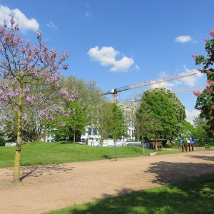 IMG_1905.JPG